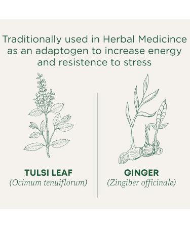 Traditional Medicinals - Organic Tulsi with Ginger Herbal Tea (Pack of 6) - Adaptogen That Helps Increase Energy and Stress Response - 96 Tea Bags Total Tea Tulsi with Ginger 16 Count (Pack of 6) - Buy Online on SooperMarket.com