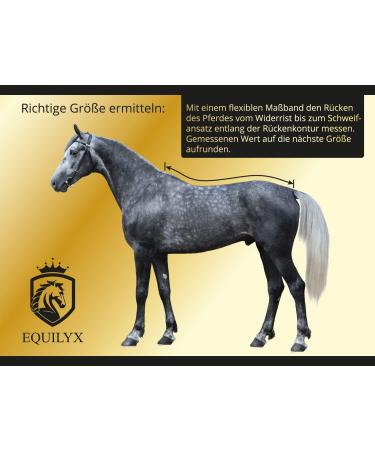 Equilyx Sweat Ceiling Horse Blanket | Perfect Fit Fleece | Moisture Absorbing Breathable Warming Transport Blanket (Black 145) - Buy Online on SooperMarket.com