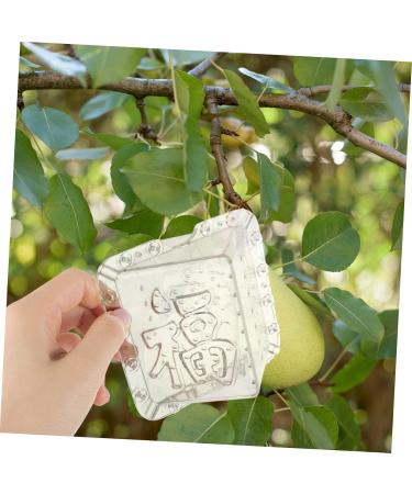 Kisangel 6 Pcs Square Apple Molds Vegetable Growth Mold Growing Fruit Mold Shaper Mould Cover Stereotypes - Buy Online on SooperMarket.com