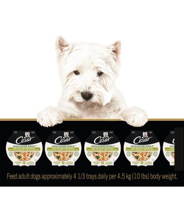 CESAR Wholesome Bowls Wet Dog Food Chicken Carrots Barley & Green Beans 85g Pack of 10 Chicken Carrots & Green Beans 85 g (Pack of 10) - Buy Online on SooperMarket.com