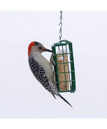 C&S Wild Bird Double Suet Basket  2.7" D x 5.3" W x 5.2" H - Buy Online on SooperMarket.com