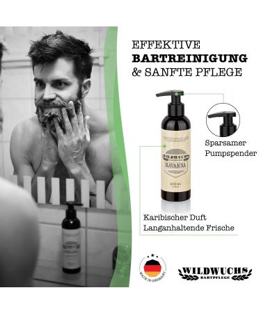 Wild Growth Beard Care - Havana Beard Care Set | Complete 3-Piece Beard Oil Set for Luxurious Grooming - Buy Online on SooperMarket.com