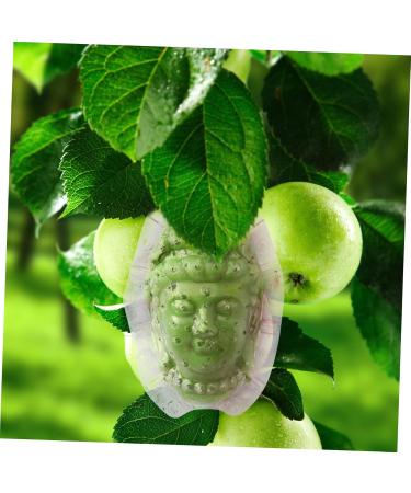 Kisangel Vegetable Panax Ginseng an Fittings Cucumber Styling Shaping Melon Acrylic - Buy Online on SooperMarket.com