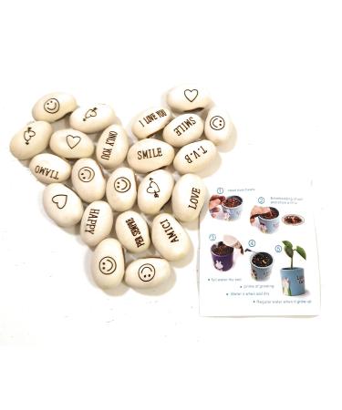 J & J pack with 20 seeds magical beans magic beans gift idea repeating event curiosity idea at home gift bingo Christmas party in the love special news ...