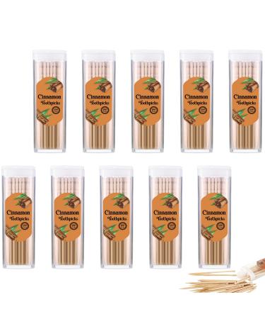 10 Pack Cinnamon Toothpicks Flavor Toothpicks Cinnamon Infused Flavored Toothpicks for Adults 200 Pcs Toothpicks Total