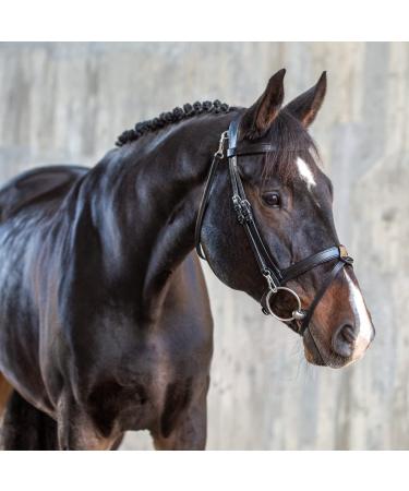 Sunride English combined bridle berlin with reins made of soft real leather with clip closure adjustable and anatomical (full black) full black