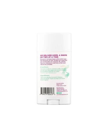 Stinkbug Naturals Organic Hibiscus Mint Deodorant Stick - Aluminum Free, Coconut Oil & Essential Oils - 2.1oz - Buy Online on SooperMarket.com