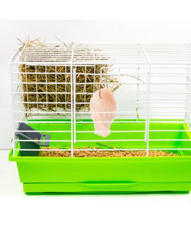 CIYODO Pet Saline Rabbit Salt Licking Blocks Pet Salt Blocks Rabbit Supply Lick Salt Blocks Mineral Saline - Buy Online on SooperMarket.com