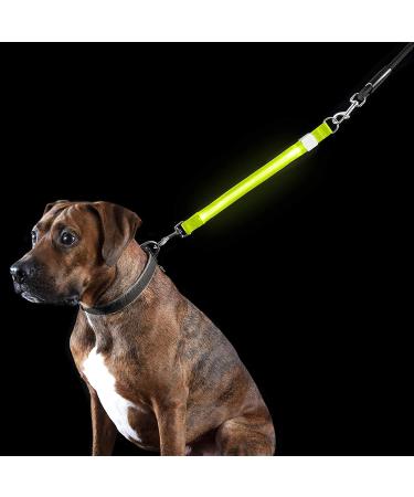 Furhaven Pet Hands-Free Bungee Dog Leash with LED Collar and Safety Features - Multiple Colors and Sizes - Buy Online on SooperMarket.com