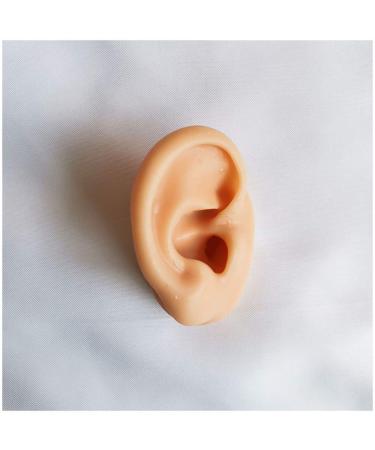 Flexible Silicone Ear Model - Ear Simulation Template with Acupuncture Details Practice Choose Studs Earring Display Accessories Left