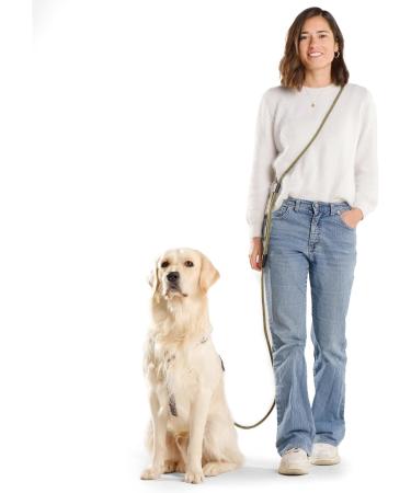 Hands-Free Dog Leash - 2m Adjustable Belt for Running & Training | 3-in-1 Multi-Function for All Dog Sizes - Touline Army Green - Buy Online on SooperMarket.com