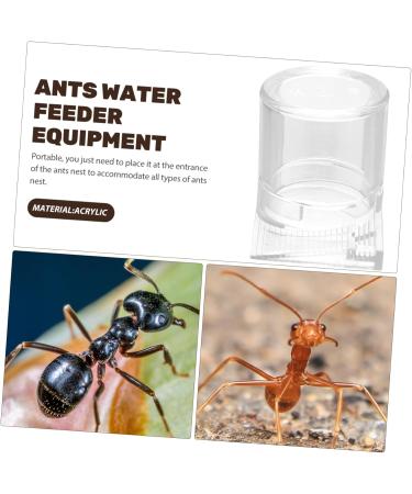 Sosoport Pet Water Feeder Clear Ants Feeder Ant Keeper Tools Ant Nest Water Cup Ant Bowl Automatic Ants Feeder Ants Feeding Device Ant Waterer Ant Feeder Ant Nest Entrance Feeder - Buy Online on SooperMarket.com