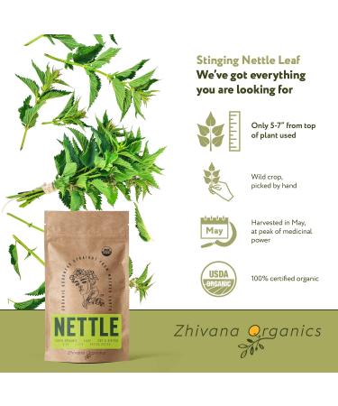 Organic Nettle Leaf Tea - Wild Stinging Nettle Herb for Detox and Allergy Relief - Buy Online on SooperMarket.com