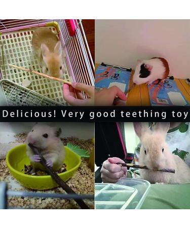Natural Apple Sticks Treats for Small Animals - Chew Toys for Chinchilla, Guinea Pigs, Hamsters - 10.5 oz Pack - Buy Online on SooperMarket.com