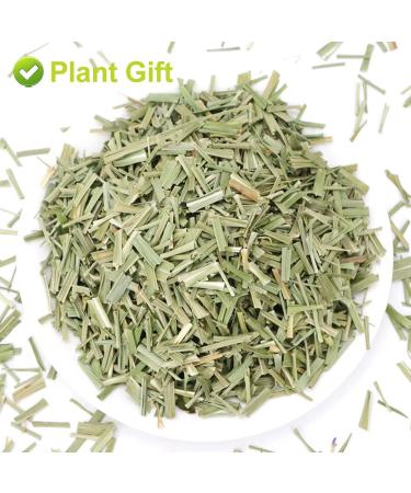 Buy PlantGift Dried Lemongrass Tea Figs - Premium Quality International Shipping - Buy Online on SooperMarket.com