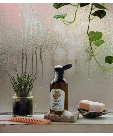 The Body Shop Ginger Shampoo 250ml - Pack of 1 - Buy Online on SooperMarket.com