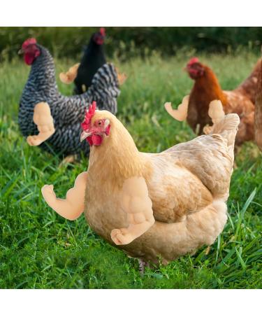FUAMEY Muscle Chicken Arms Toys for Chickens to Wear  Funny Costume Fist Fighting Arms Toy for Pet Prank Themed Party  Artificial Arms Decorations Costume Cosplay for Chickens Rooster Hens Upgraded version - Buy Online on SooperMarket.com