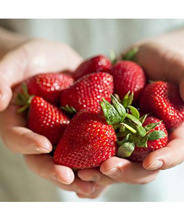 Buy Glade Scented Candle Pack of 6 - Radiant Fresh Berries with Essential Oils - International Shipping Available - Buy Online on SooperMarket.com