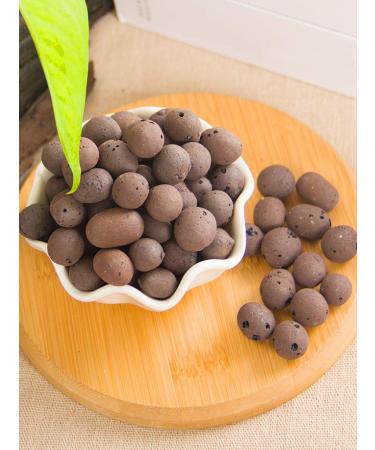 2LBS Brown Leca Clay Pebbles for Plants & Orchids | Hydroponic Grow Media & Horticultural Drainage - Buy Online on SooperMarket.com