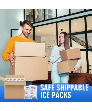 36pc Dry Ice Packs for Shipping - Reusable Cold Shipping Packaging for Frozen Food & Drinks - Bulk Dry Ice Sheets for Coolers - 4.33in x 7.3in - Buy Online on SooperMarket.com