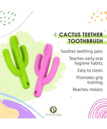Baby Cactus Teether - Infant Training Toothbrush in Green | Eco-Friendly Silicone Teething Toy - Buy Online on SooperMarket.com