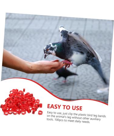 Beavorty 300 Pcs Pigeon Anklet Where Labels Bird Opening Feet Opening Pigeon Ring Plastic Clip Baby Poultry 1.3X1.3CMx3pcs Redx3pcs - Buy Online on SooperMarket.com