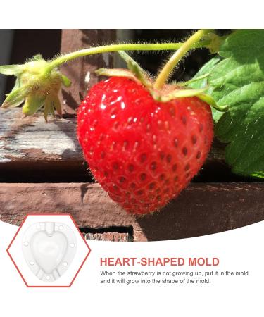 SUPVOX 15 Pcs Fruit Shaping Vegetables Growth Molds Vegetable Growing Molds Watermelon Heart-Shaped 4.5x4cmx3pcs Whitex3pcs - Buy Online on SooperMarket.com