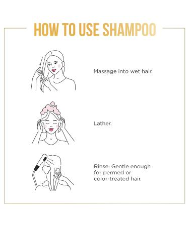 Buy Pantene Frizz Control Shampoo - Smooth & Sleek for Color-Treated Hair 355 mL - International Shipping Available - Buy Online on SooperMarket.com