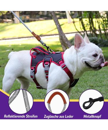 Multi-Purpose Dog Harness & Leash Set | Anti-Train Safety for Small & Medium Dogs (Yellow Size S) - Buy Online on SooperMarket.com