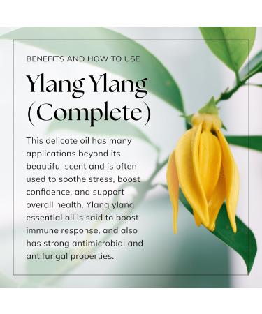 Nikura Ylang Ylang (Complete) 10ml Essential Oil - Vegan 100% Pure | Aromatherapy Diffuser, Hair & Bath Use - Buy Online on SooperMarket.com