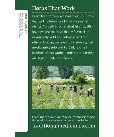 Organic Spearmint Herbal Tea - Naturally Caffeine Free | 16 Wrapped Bags - Traditional Medicinals - Buy Online on SooperMarket.com