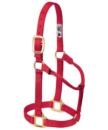 WEAVER Leather Non-adjustable halter red Yearling