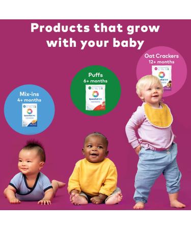 SpoonfulONE Food Allergen Introduction Mix-Ins for Babies 4+ Months | Certified Organic (30 Day Supply) - Buy Online on SooperMarket.com