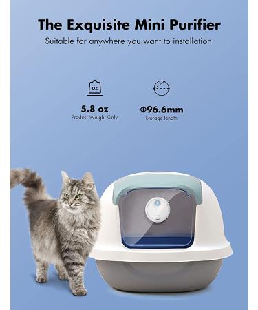 Qimic Cat Litter Deodorizer - Rechargeable Dust-Free Odor Eliminator for Litter Box, Shoe Box, and Kitchen - Buy Online on SooperMarket.com