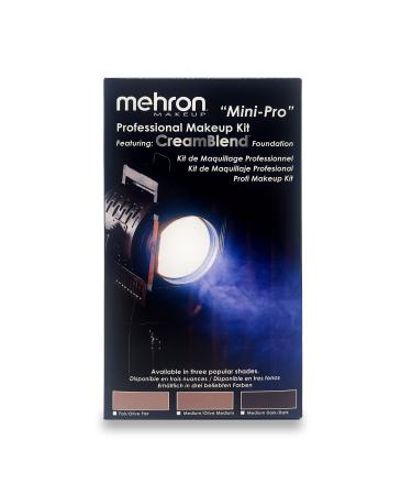 Mehron Makeup Mini-Pro Student Makeup Educational Kit (Fair/Olive)
