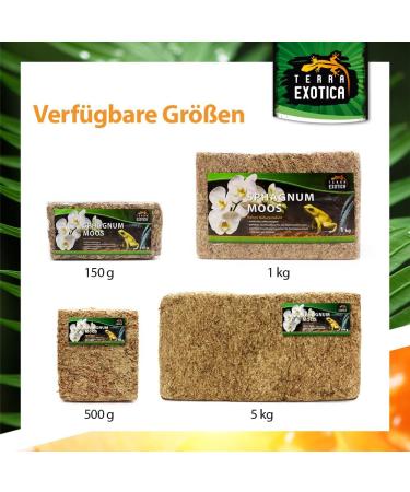 Buy Terra Exotica Sphagnum Moss (3x1 Kg) - Premium Peat Moss for Garden Houseplants & Terrariums - International Shipping Available - Buy Online on SooperMarket.com