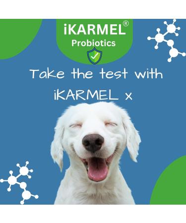 iKARMEL Doggy Dailies Probiotics for Dogs | Canine Supplements for Digestive and Immunity Support | Skin Health and Itch Relief | Vitamin Treats for Dogs | Probiotic (90 Chews) - Buy Online on SooperMarket.com