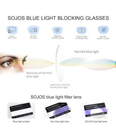 Shop SJ5024 Vintage Round Blue Light Filter Glasses for Men & Women - Leopard Frame Anti-Blue Light Computer Glasses - Buy Online on SooperMarket.com