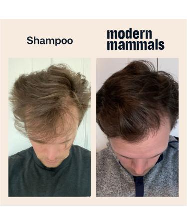 Modern Mammals 2-in-1 Men's Hydrating Shampoo & Conditioner - Daily Cowash & Styling Wash for Extra Moisturizing, Protects Natural Oils, Low-Lather Formula, Barber Recommended - 8 oz Bottle - Buy Online on SooperMarket.com