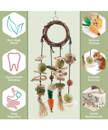 ERKOON Rabbit Hamster Hanging Chew Toys - Applewood Boredom Breaker with Grass Ball and Carrot Treats for Small Pets - Buy Online on SooperMarket.com