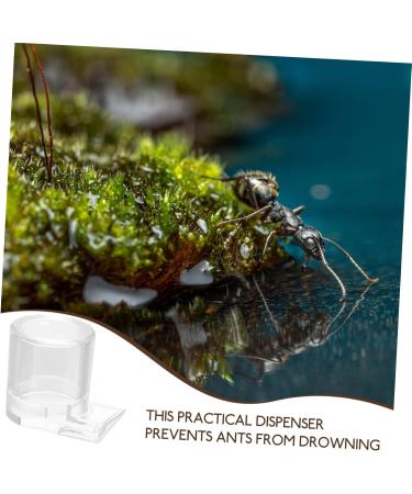 DOITOOL Pet Water Feeder Ant Watering Cup Ant Nest Entrance Feeder Ant Bowl Feeding Tray Automatic - Buy Online on SooperMarket.com