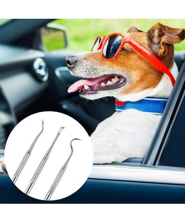 Dog Dental Tooth Scaler and Scraper Stainless Double Headed Tarter Remover Scraper Pet Teeth Cleaning Tools for Dog and Cat (3) - Buy Online on SooperMarket.com