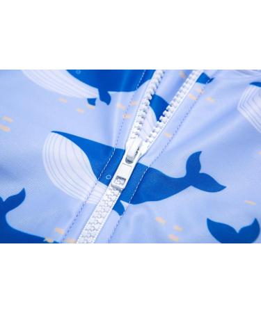 Bonverano Baby Boy All-in-One Sunsuit 18-24 Months with Cap | UPF 50+ Sun Protection Swimsuit for Swimming | Whales - Buy Online on SooperMarket.com