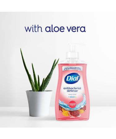 Dial Antibacterial Liquid Hand Soap Pomegranate Tangerine 325ml Tangerine 325 ml (Pack of 1) - Buy Online on SooperMarket.com