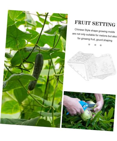 OFFSCH Apples Growth Mold 2pcs Square Apple Molds Fruit Growth Shaping Accessories Fruit Mold Fruit Shaper Melon Stereotypes - Buy Online on SooperMarket.com