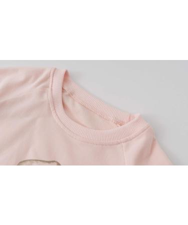 DHASIUE Baby Girls Unicorn Sweatshirt Jumper T-Shirt | Cute Long Sleeved Cotton Tee | Kids Toddler Clothes Ages 1-7 | 2-3 Years | Dinosaur/Pink - Buy Online on SooperMarket.com