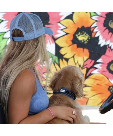 Black Rhino Comfort Collar - Super Soft Neoprene Dog Collar for All Breeds | Adjustable Reflective & Weatherproof | Medium Sports Blue/Gray - Buy Online on SooperMarket.com