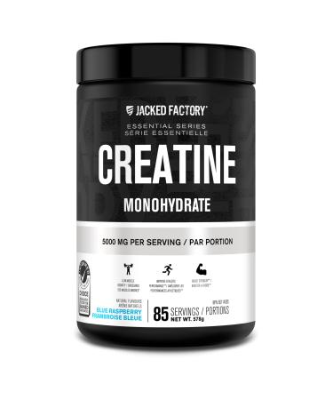 Creatine Monohydrate Powder - Creatine Supplement for Muscle Growth Increased Strength Enhanced Energy Output and Improved Athletic Performance by Jacked Factory - 85 Servings Blue Raspberry Blue Raspberry 85 Servings (Pack of 1)