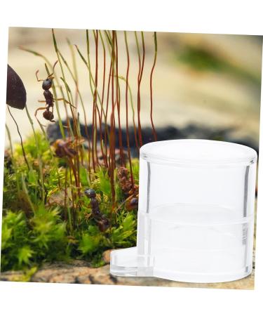 BESPORTBLE 2pcs Ant Water Feeder Acrylic Ant Feeders Professional Ants Feeder Tortoise Water Dish Transparent - Buy Online on SooperMarket.com