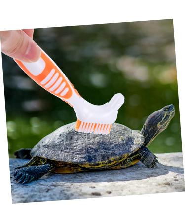 Beaupretty Turtle Shell Cleaning Brush grip cleaning brush turtle cleaning brush aquatic animal cleaning brush hamster cleaning brush toothbrush cleaner tool reptile care plastic water turtle 16x5cm As Shown 2 - Buy Online on SooperMarket.com